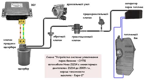 Предназначение и принцип работы адсорбера