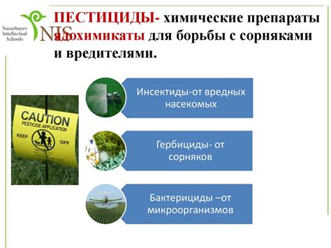 Преимущества городского фермерства: благоприятное влияние на здоровье и окружающую среду 