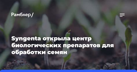 Преимущества использования биологических препаратов для обработки роз в осенний период