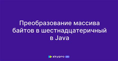 Преобразование массива байтов в различные типы данных