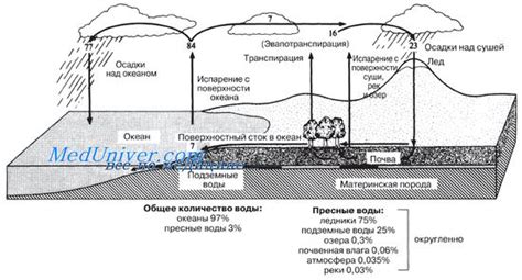 Преобразование энергии воды: гидрологический аспект