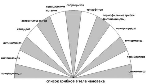 Преодоление преград для раскрытия души
