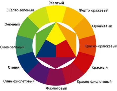 Привлекательность через цвета: сила ярких и контрастных оттенков