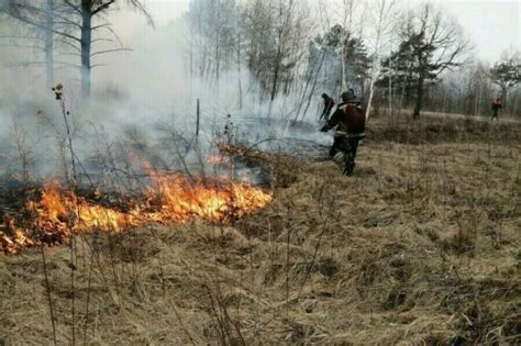 Привлечение добровольцев для борьбы с нежелательным растительным материалом на пляжах