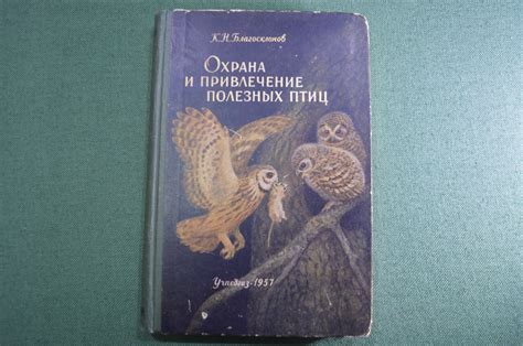 Привлечение экстравагантных птиц к вашему образу: ключевые моменты