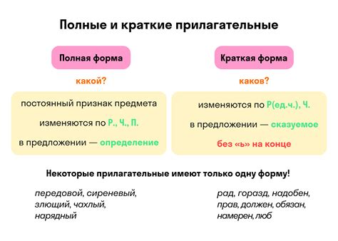 Прилагательные с формой в обоих родах