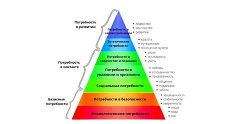 Применение расшифровок СОШ в профессиональной сфере