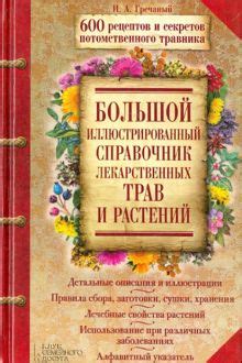 Применение трав и растений для укрепления позвоночных дисков