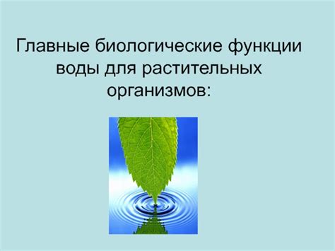 Применение химических средств для эффективного устранения растительных организмов из воды