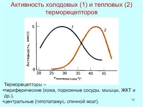 Применение холодовых и тепловых процедур