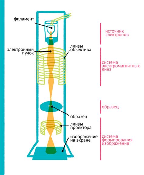 Применение электронного микроскопа в различных отраслях науки и техники