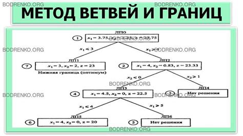 Примеры дополнительных ветвей и их задачи