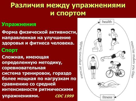 Принципиальные отличия между занятием спортом и развитием физической подготовки