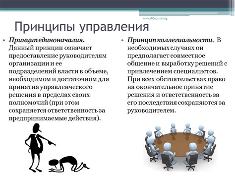 Принципы децентрализации и самоуправления в структуре федерации