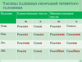 Принципы и стратегии при работе с текстами на латинском языке