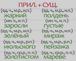 Принципы согласования числа и рода прилагательных существительными