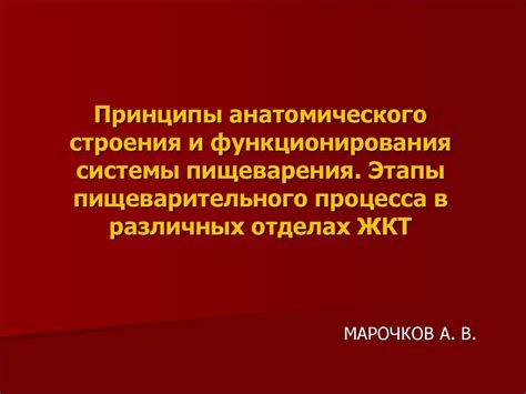 Принципы функционирования повторяющегося процесса в технике