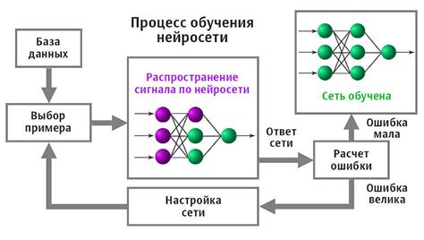 Принцип передачи обратной ошибки в нейронных системах