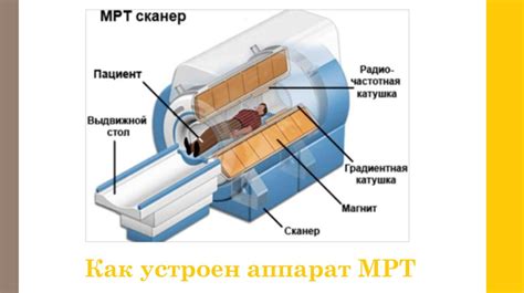 Принцип работы и преимущества пэт кт