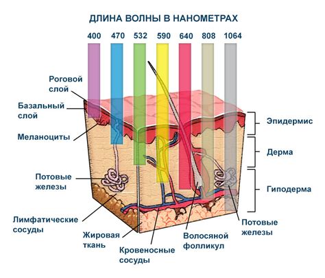 Принцип работы и эффективность технологии ультразвукового воздействия на кожу