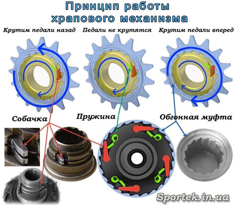 Принцип работы передачного механизма в скутере малой мощности