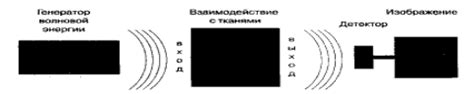 Принцип функционирования механизма фокусировки на определенных областях визуализации медицинских изображений