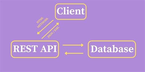 Принцип RESTful API: основы и преимущества