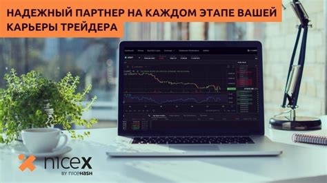 Приступаем к торгам на платформе Nicex