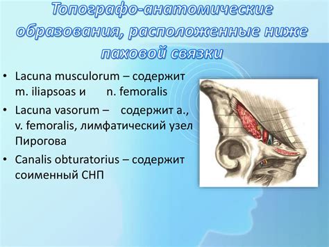 Причины и механизмы возникновения разрыва паховой связки