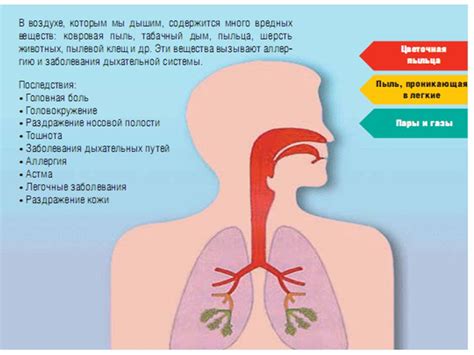 Причины и последствия непланового притока воздуха в систему двигателя