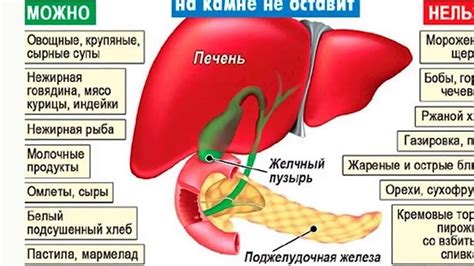 Причины отсутствия желчи в желудке