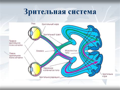 Проблематика зрения и ее негативные последствия