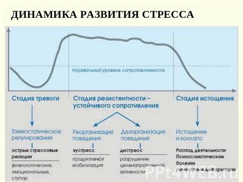 Проблема стресса и его воздействие на артериальную гипертензию: эффективные методы преодоления