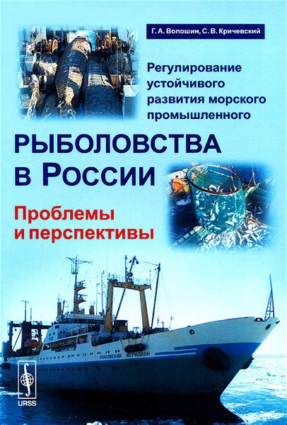 Проблемы и перспективы развития морского узла Кавказ