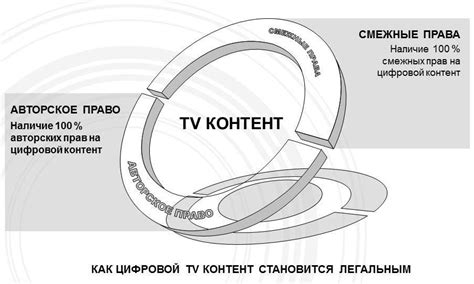 Проверка наличия доступа к цифровому вещанию