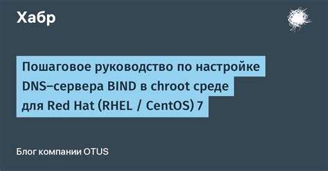 Проверка работы сервера DNS на ОС CentOS