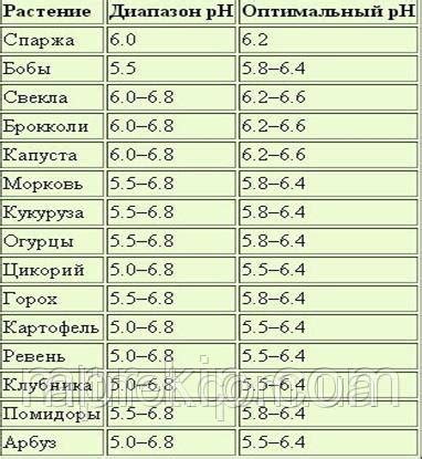 Проверьте уровень влажности грунта