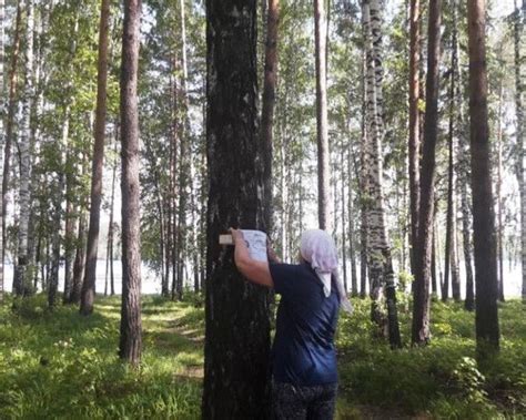 Проветривание и влажность: создание неблагоприятных условий для клеща