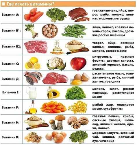 Продукты, богатые пребиотиками: питание для благотворных микроорганизмов