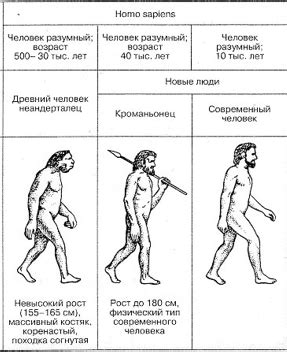 Происхождение и классификация