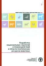 Проработка собственных стратегий и планов действий