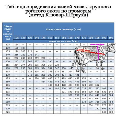 Простая и эффективная методика определения массы мощного скота