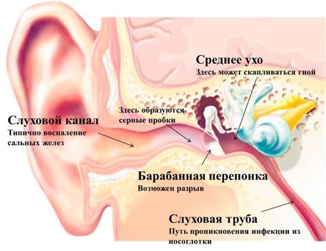 Профессиональные методы и процедуры для устранения воспаления в ухе