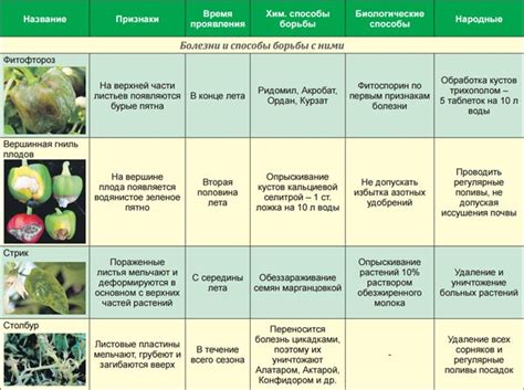 Профилактика и лечение заболеваний и вредителей филодендрона