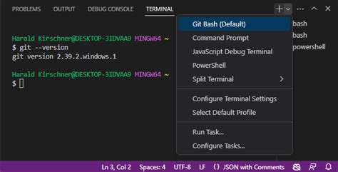 Процесс настройки среды для работы с Git Bash в Visual Studio Code