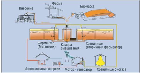 Процесс переработки органических отходов в эффективные удобрения