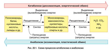 Процесс преобразования энергии в механизме двигателя