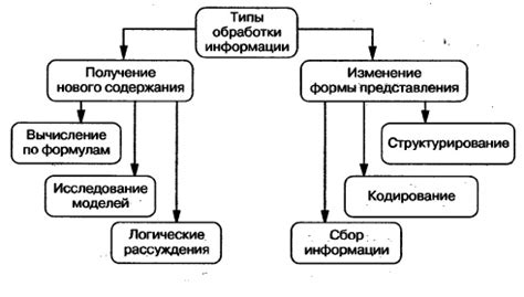 Процесс сбора и обработки деликатесной лакомства