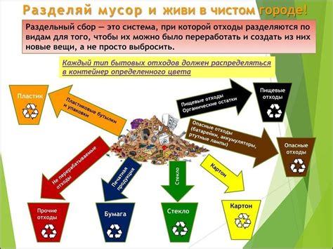 Процесс сбора мусора: от подачи до утилизации