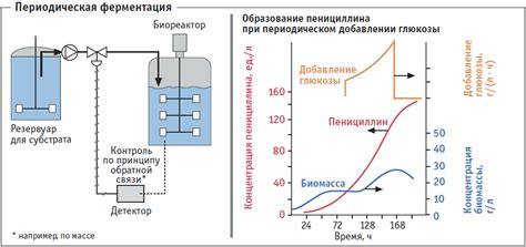 Процесс ферментации и дистилляции